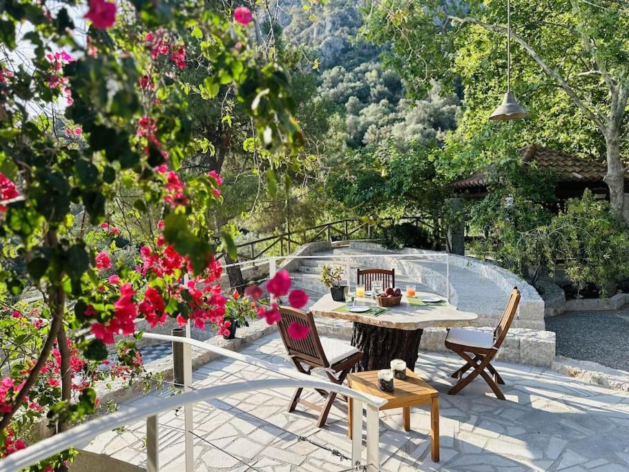 ניאה אפידאורוס Elia Junior Suite In Epidavros With Shared Pool מראה חיצוני תמונה